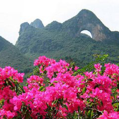 景点模块 