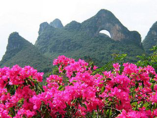 桂林旅游要多少錢跟團_桂林游跟團_桂林旅游一次多少錢
