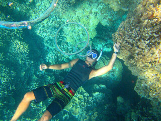 帕劳机票便宜价格 帕劳当地游质量好吗