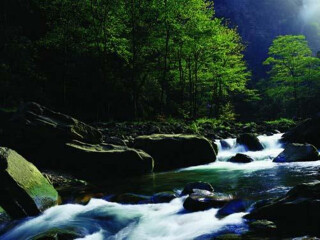 湖南張家界旅游要多少錢跟團(tuán)_湖南張家界八月份旅游_湖南張家界半自由行