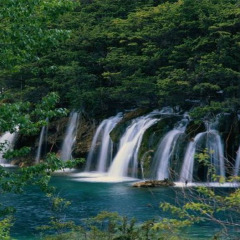 景点模块 