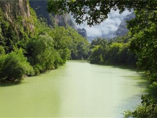 的生物王国,亚马逊雨林乘船(约45分钟), 然后入住亚玛逊热带丛林宾馆