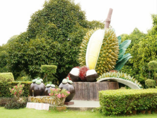 到泰國(guó)沙美島旅游多少錢(qián)_泰國(guó)沙美島旅游多少錢(qián)_泰國(guó)沙美島旅游報(bào)團(tuán)價(jià)格