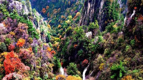 洛阳栾川老君山-追梦谷2日游>含中灵索道往返