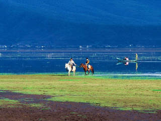 云南麗江旅游需要多少錢_深圳到云南麗江旅游報價_云南麗江旅游跟團多少錢