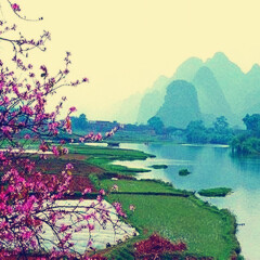 景点模块 