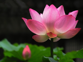 青岛世园会-最美青岛1日自助游 最美青岛夜景