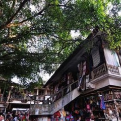 景点模块 