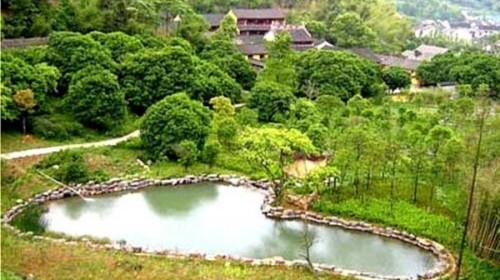 赏樱花大香林景区-鲁迅故里自驾2日游宿四星绍兴金昌开元