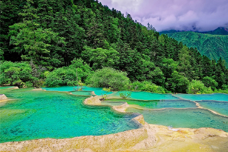 <九寨沟+黄龙风景名胜区5日4晚跟团游>成都直飞往返九寨沟，纯玩0购物，全程舒适住宿，品高原牦牛肉汤锅，颜值导游领队