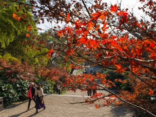 湖南鳳凰古城旅游組團(tuán)_湖南鳳凰古城九月旅游_2021年湖南鳳凰古城旅游團(tuán)報(bào)價(jià)