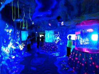 海南海口-三亚2晚3日游 美丽三亚 浪漫天涯