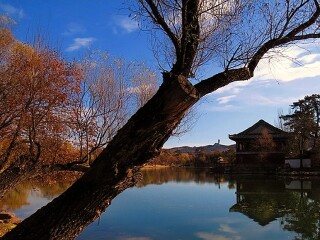 廣州北戴河旅游團(tuán)_北戴河旅游團(tuán)報(bào)價(jià)2021_北戴河自由行組團(tuán)