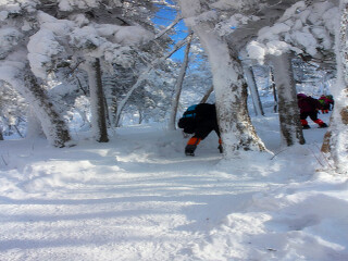 特價亞布力雪鄉(xiāng)游_亞布力雪鄉(xiāng)旅游費用多少_亞布力雪鄉(xiāng)旅游跟團多少錢