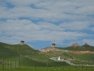 青海湖 1日游 丹葛尔古城 日月山 青海湖