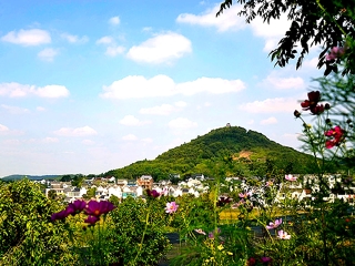 [国庆] 高淳1日游>景点大门票全含,游(固城湖水慢城,高淳老街),螃蟹