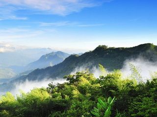 阿里山