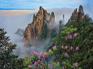 婺源旅行哪家好_婺源8天游_最近去婺源旅行