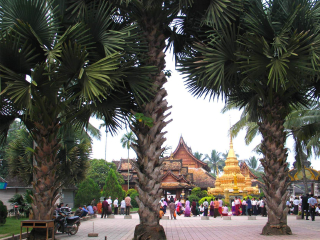 西双版纳布吉旅游_西双版纳苏梅岛_西双版纳随团旅游