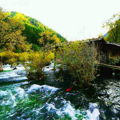 景点模块 