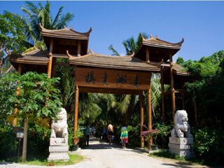 海南10日游多少钱_去海南旅游的团_报团到海南旅游
