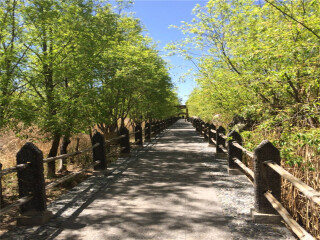 泸沽湖跟团五日游_去旅游泸沽湖_到泸沽湖跟团旅行