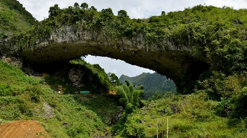  南宁-巴马-百鸟岩-百魔洞-长寿村-万寿谷3日游>无购物