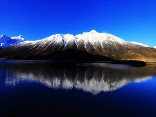 拉萨布达拉宫-扎基寺-鲁朗林海-波密然乌湖7日游>纯玩无购物