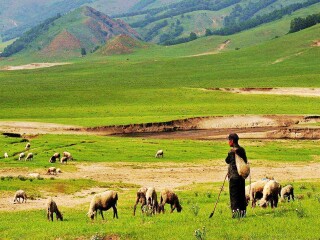 旅行團(tuán)北戴河游_國慶北戴河游價(jià)格_北戴河自由行費(fèi)用