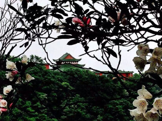 現(xiàn)在去莽山郴州旅游多少錢(qián)_現(xiàn)在到莽山郴州旅游多少錢(qián)_去莽山郴州游要多少錢(qián)