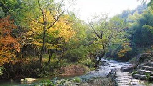  四窗岩漂流-浙东小九寨自驾2日游>宿伯豪华悦主题酒店大床