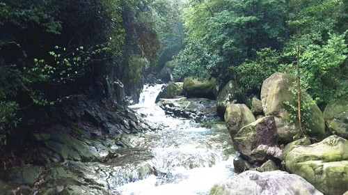 景区地址:浙江省安吉龙王山自然保护区 餐饮