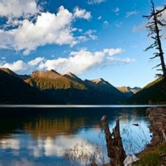 小交通模块 