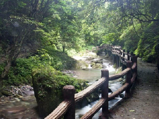 梵净山亚木沟双汽2日游>贵阳出发 梵净山亚木沟景区点品质旅游线路