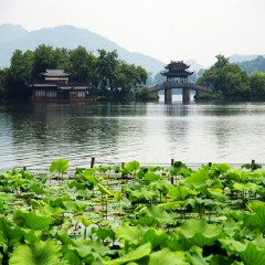 景点模块 