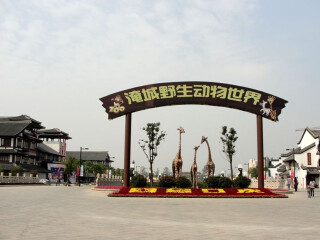 跟团游 常州淹城野生动物园1日游>寓教于乐,童话世界认证供应商