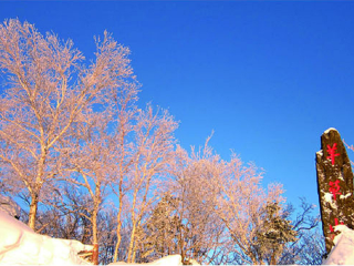 到亞布力雪鄉(xiāng)旅游報(bào)團(tuán)價(jià)格_現(xiàn)在到亞布力雪鄉(xiāng)旅游多少錢_亞布力雪鄉(xiāng)旅游要多少錢跟團(tuán)