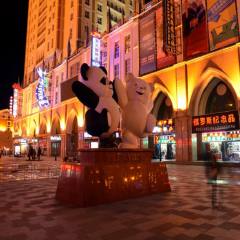 活动模块 