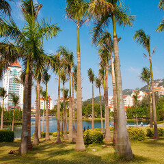 景点模块 