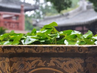 上海迪士尼樂園2人旅游需要多少錢_上海迪士尼樂園半自由行_上海迪士尼樂園最佳旅游路線