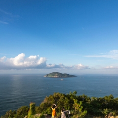 活动模块 