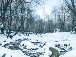 2021去東北長白山旅游團報價_深圳特價東北長白山游_國慶東北長白山游價格
