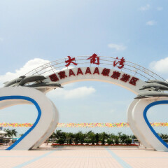 活动模块 