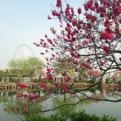景点模块 