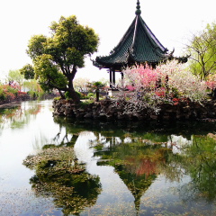 景点模块 