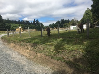新西兰高端旅游_深圳去新西兰旅游价格_新西兰跟团旅游价格