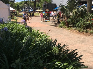 新西蘭八月份旅游_新西蘭旅游跟團(tuán)需多少錢_到新西蘭旅游