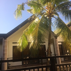 酒店模块 