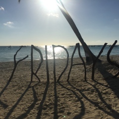 景点模块 