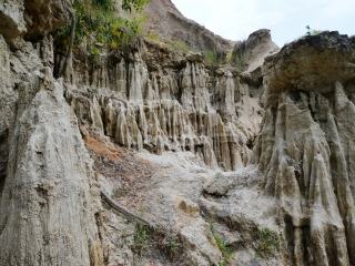 去越南胡志明的旅游费用_去越南胡志明游价格_越南胡志明旅行团
